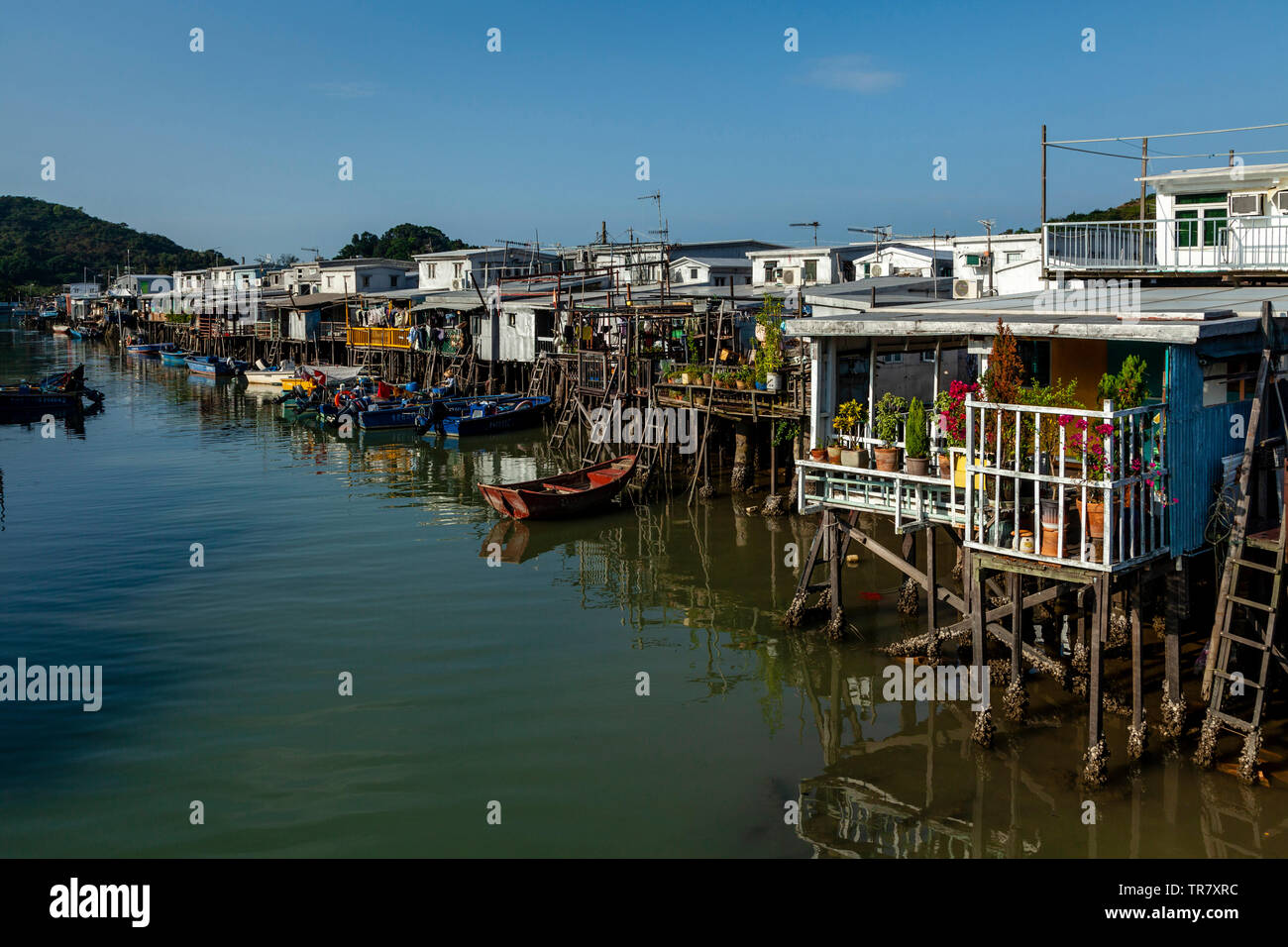 Maisons colorées sur pilotis, village de pêcheurs Tai O, Hong Kong, Chine Banque D'Images