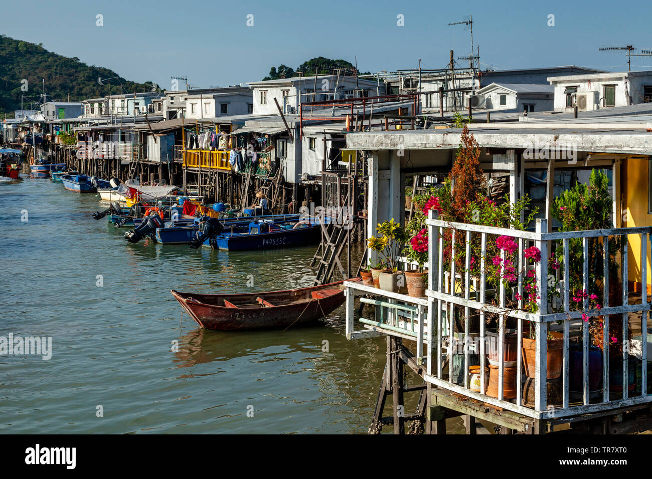 Maisons colorées sur pilotis, village de pêcheurs Tai O, Hong Kong, Chine Banque D'Images