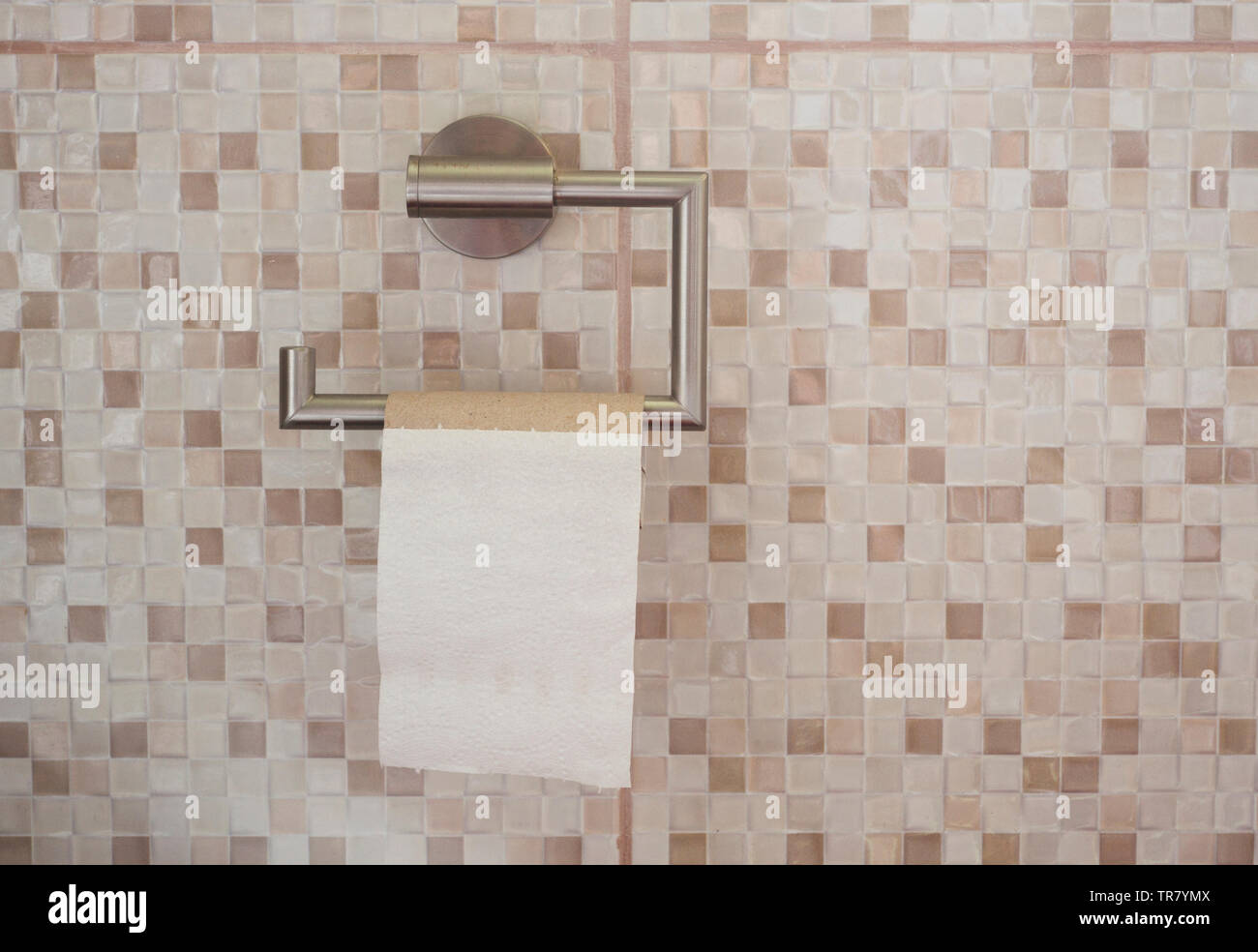 Rouleau vide de papier toilette dans la salle de bains. Le concept de fin Banque D'Images