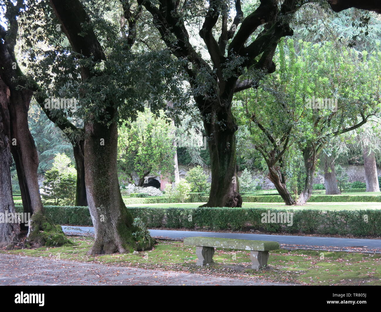 Vue de la forêt de chênes verts dans les jardins à la résidence d'été privée du pape à Castel Gandolfo Banque D'Images