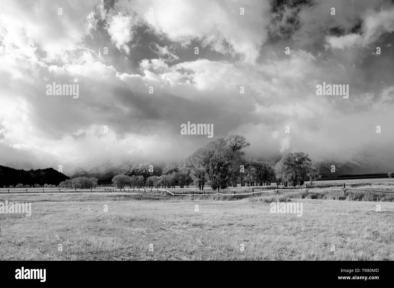 Mormon Row Historic District à l'Teton Gamme de Grand Teton National Park dans l'État américain du Wyoming Banque D'Images