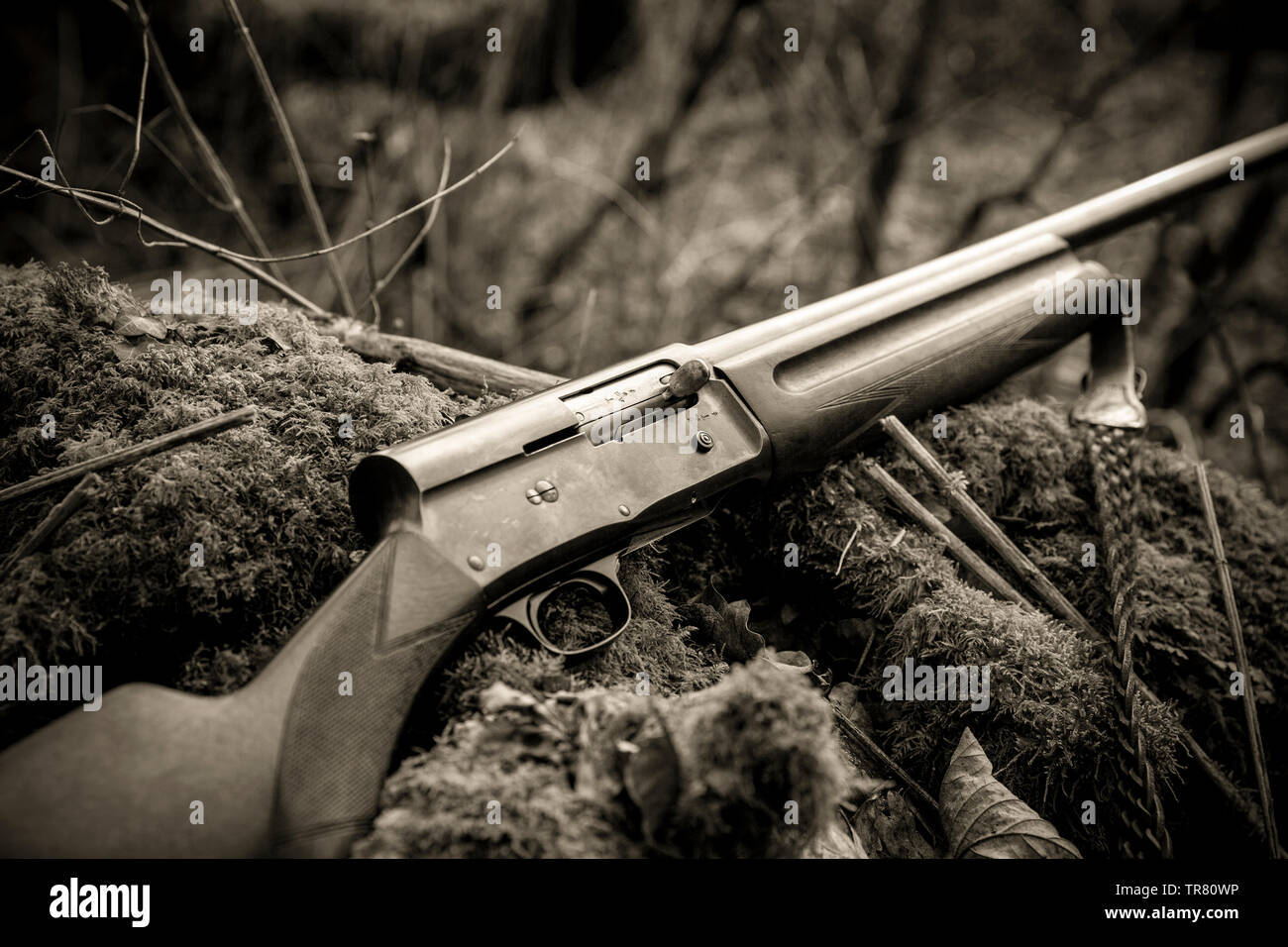 Fusil de chasse semi automatique de calibre 12 Banque de photographies et  d'images à haute résolution - Alamy