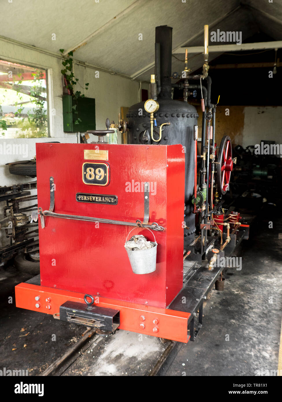 La persévérance est un petit vérin vertical unique, boilered locomotive à vapeur, le chemin de fer à vapeur de Launceston, Cornwall, UK Banque D'Images