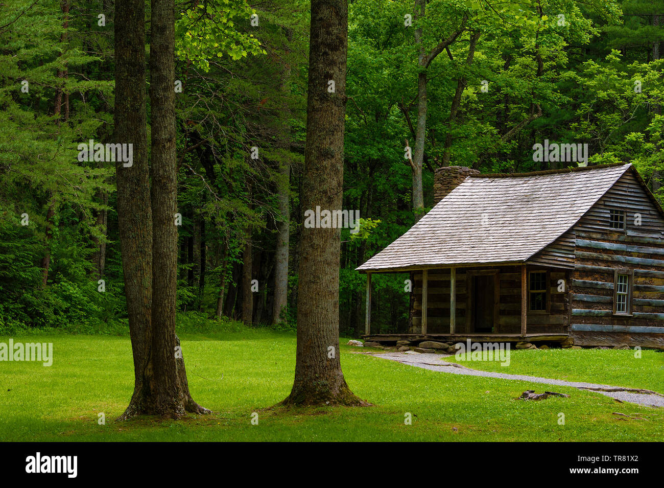 Une cabine de colons dans la vallée de Cades Cove Tennessee's Great Smoky Mountains Banque D'Images