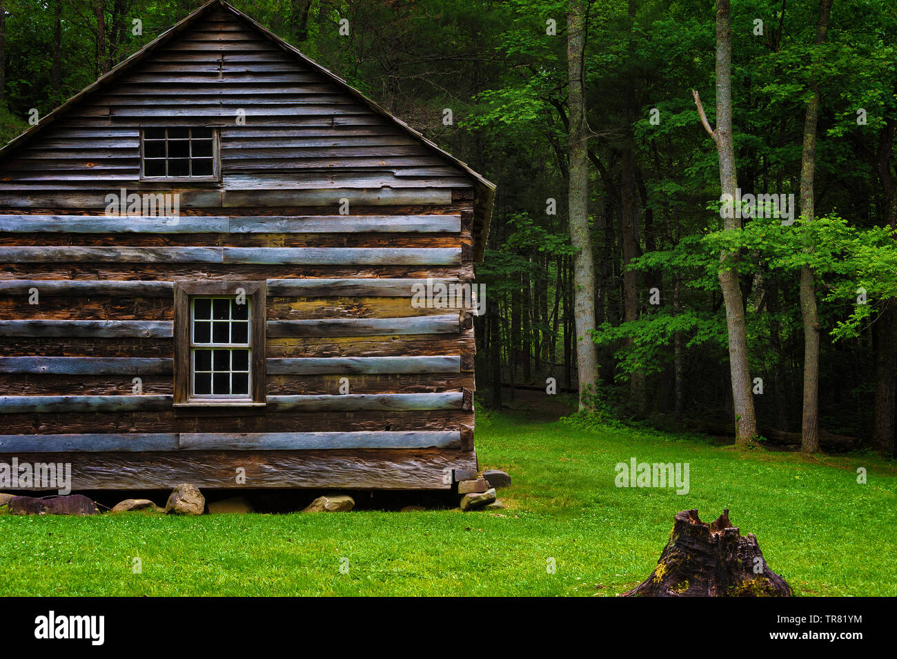 Une cabine de colons dans la vallée de Cades Cove Tennessee's Great Smoky Mountains Banque D'Images