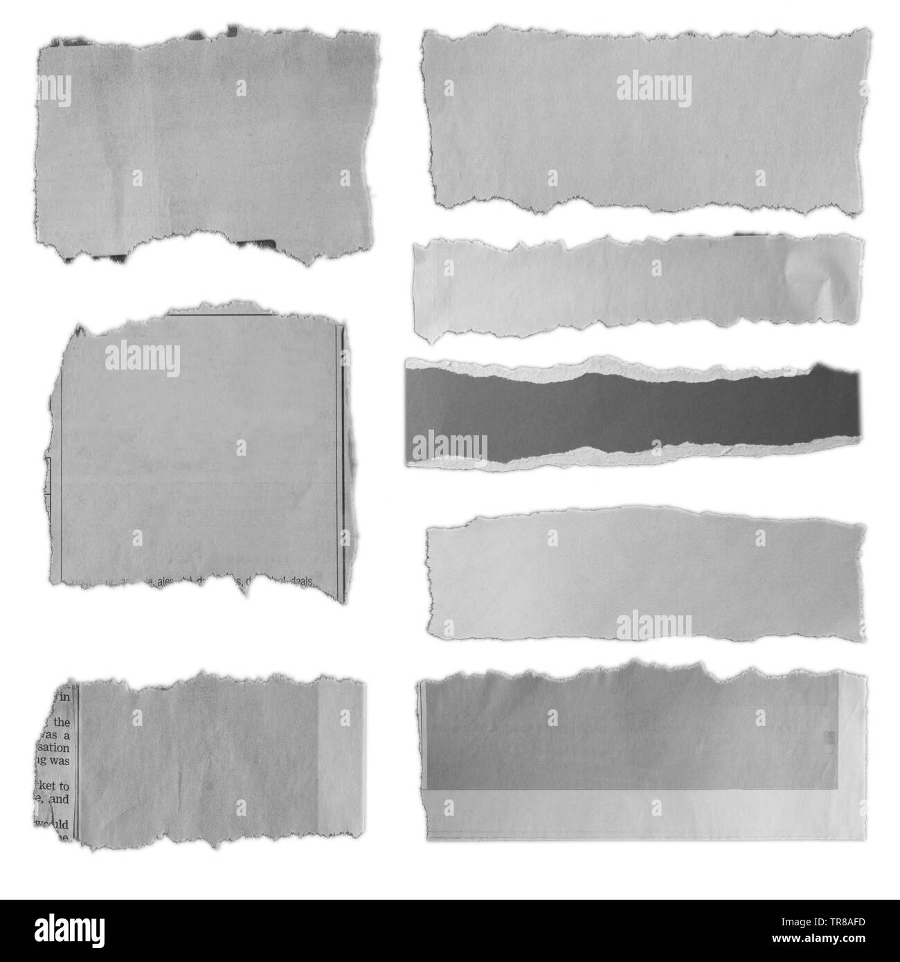 Huit morceaux de papier déchiré sur fond uni Banque D'Images