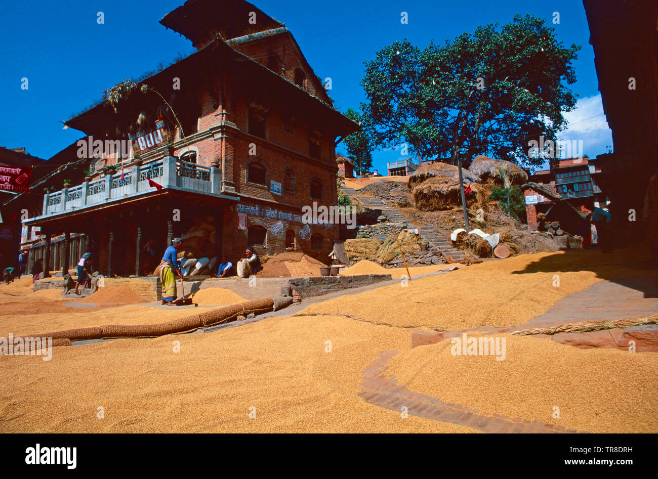 Marché des céréales,Bhaktapur Durbar Square,Népal Banque D'Images