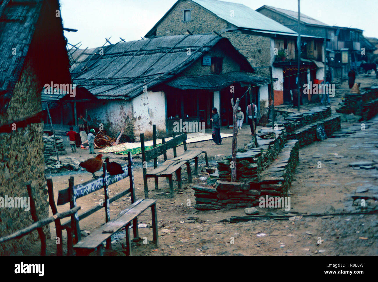 Village sherpa de Gupha Pokari,l'Est du Népal Banque D'Images