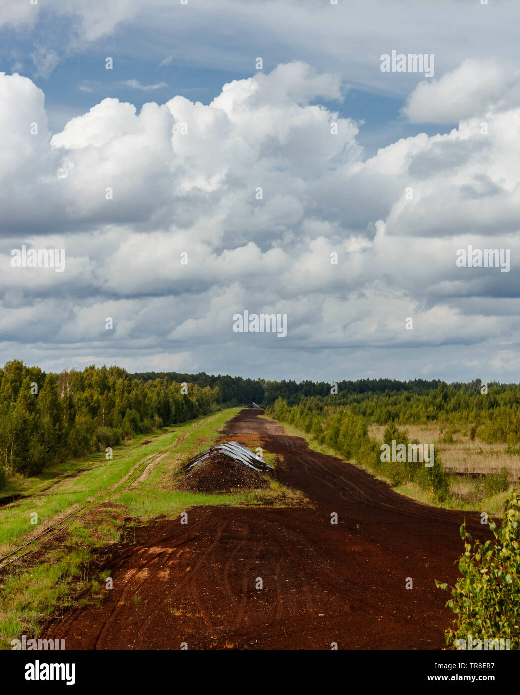 Vue à partir de la tour d'observation à Seda tourbière, la Lettonie. Banque D'Images