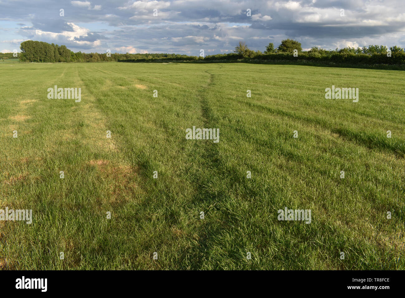 Thames Path, sentier national, Kemble Gloucestershire Banque D'Images