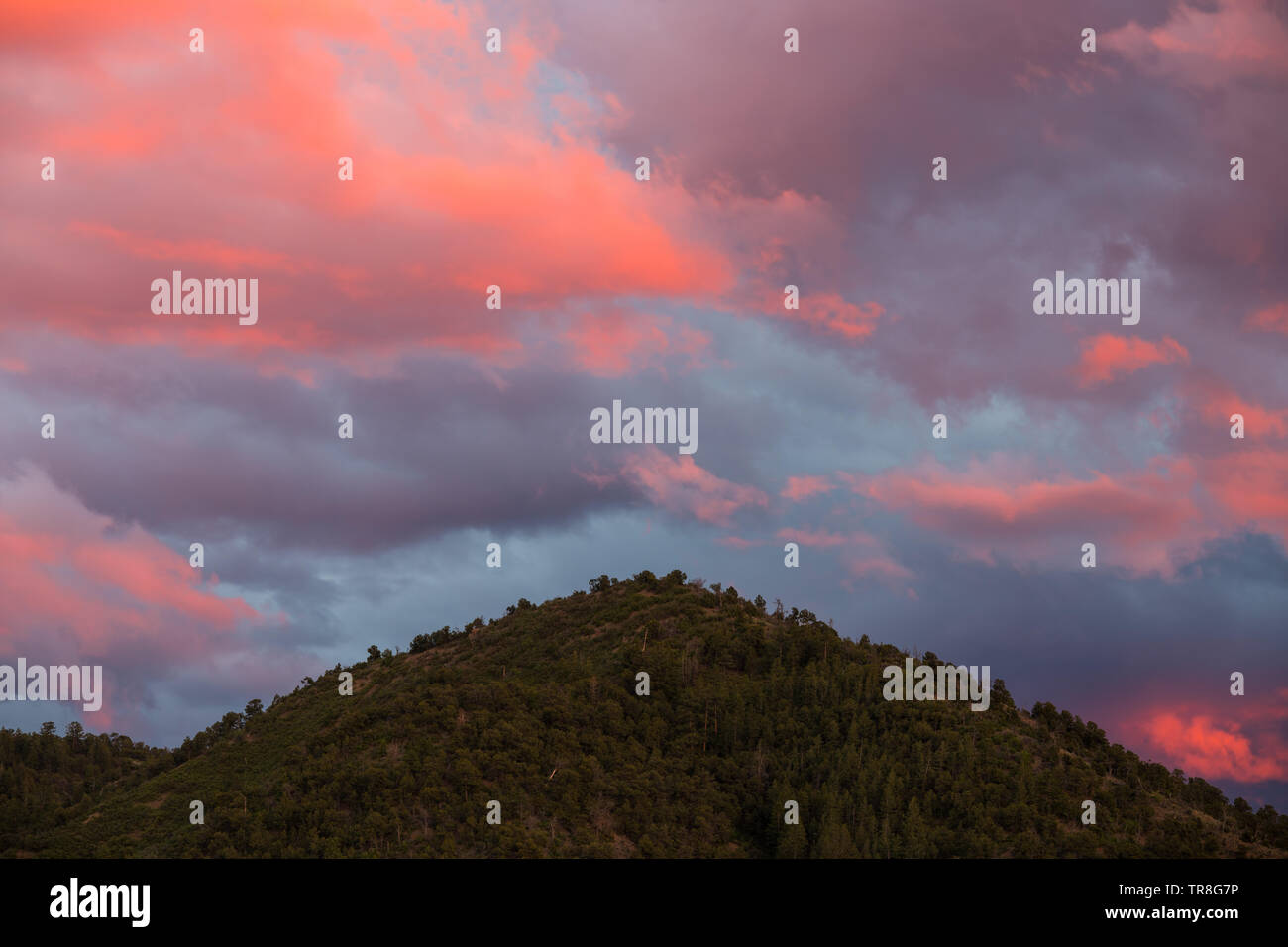 Belle rose, violet, et des nuages de couleur pêche au coucher du soleil sur une crête de montagne boisée - montagnes Sangre de Cristo près de Santa Fe, Nouveau Mexique Banque D'Images