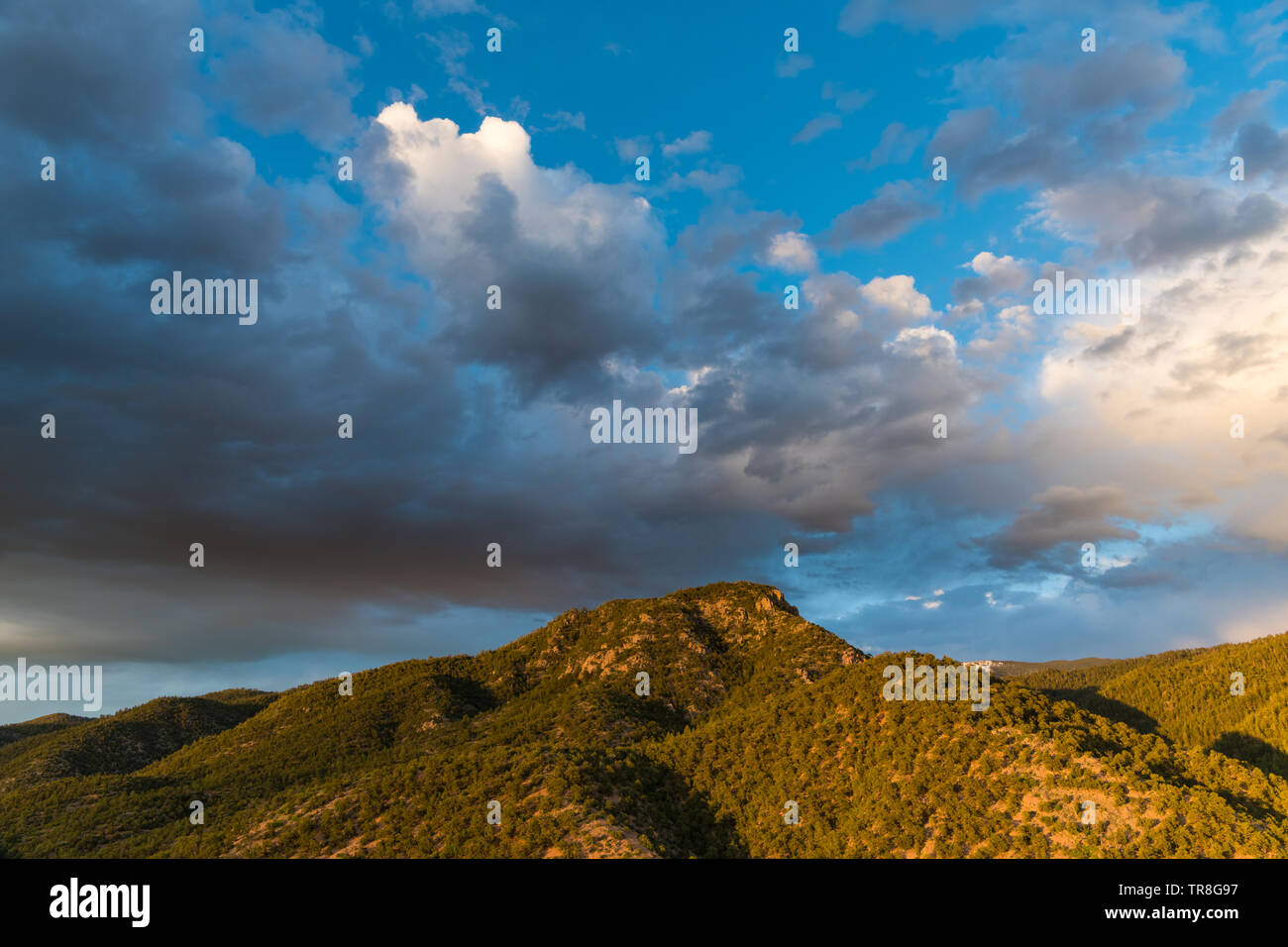 Coucher du soleil met en évidence un pic de montagne sous un ciel du soir - montagnes Sangre de Cristo près de Santa Fe, Nouveau Mexique Banque D'Images