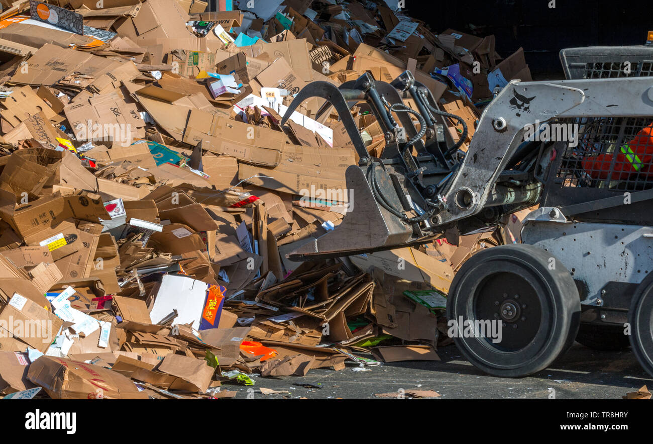 Un tas de tracteur du carton et du papier d'être triés et traités dans un centre de recyclage Banque D'Images