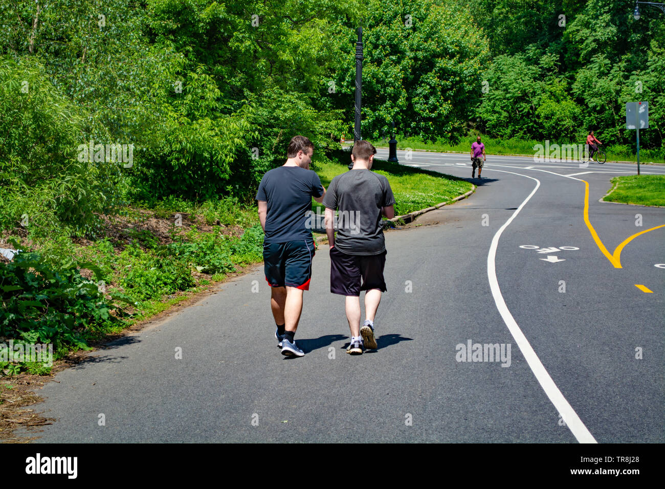 Deux jeunes hommes sont à pied dans le parc Banque D'Images