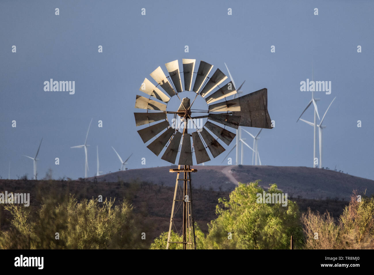 Moulins à vent opérant près de Broken Hill en Nouvelle-Galles du Sud, en Australie. Banque D'Images