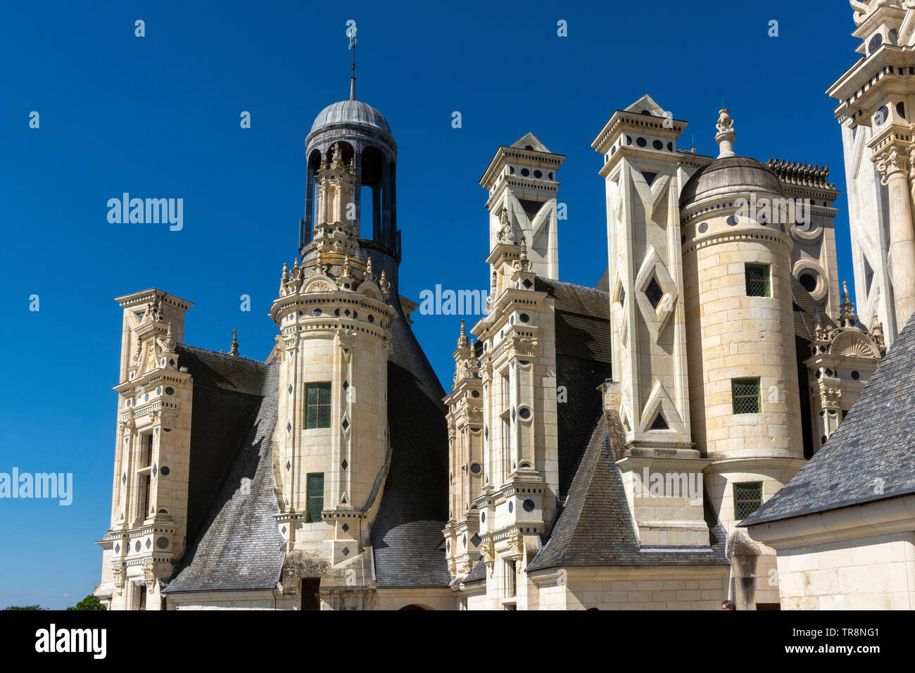 Le Château Royal de Chambord, toits et cheminées, vallée de la Loire, Loir-et-Cher, Center-Val de Loire, France, Europe Banque D'Images