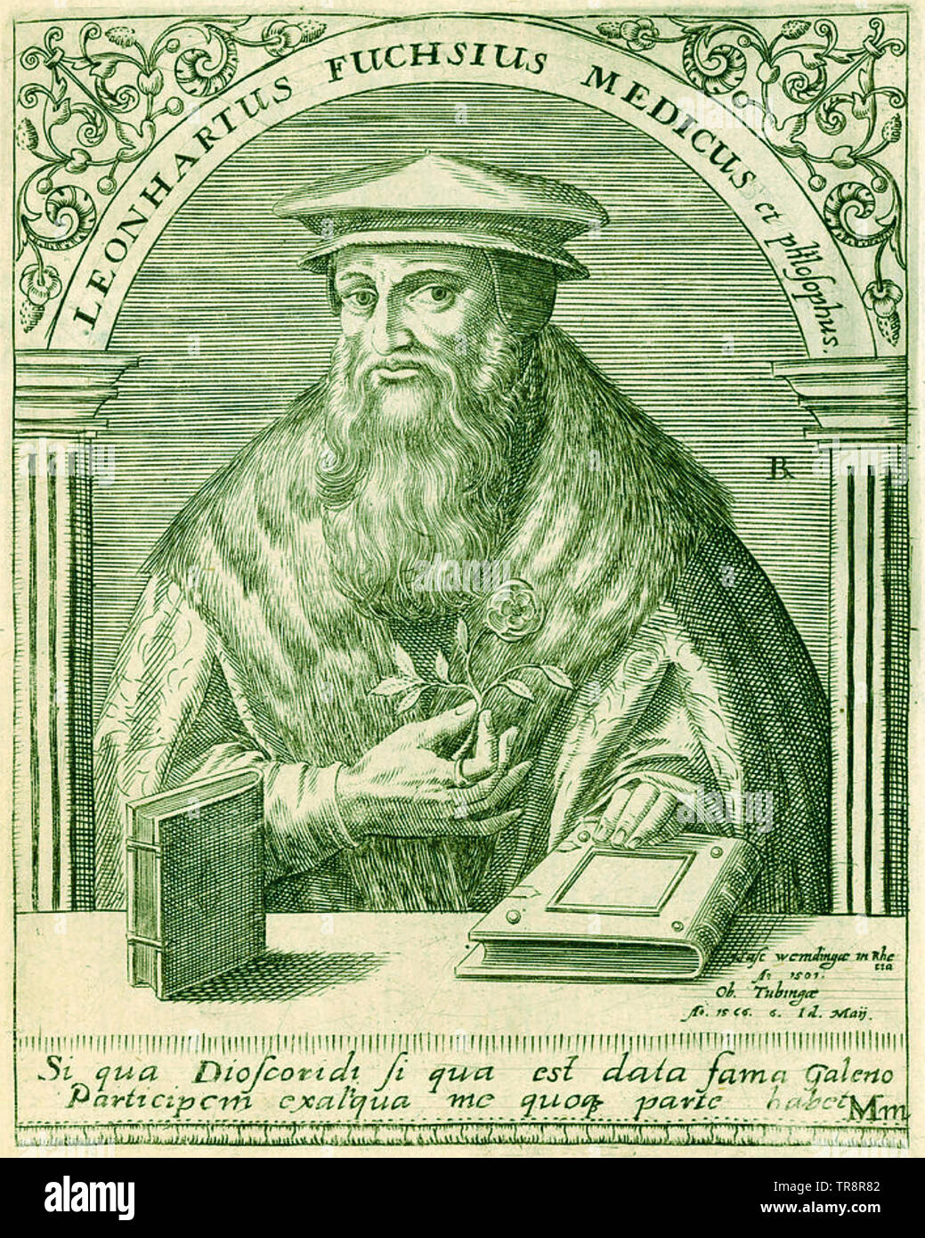 LEONHART FUCHS (1501-1566) Médecin et botaniste allemand Banque D'Images
