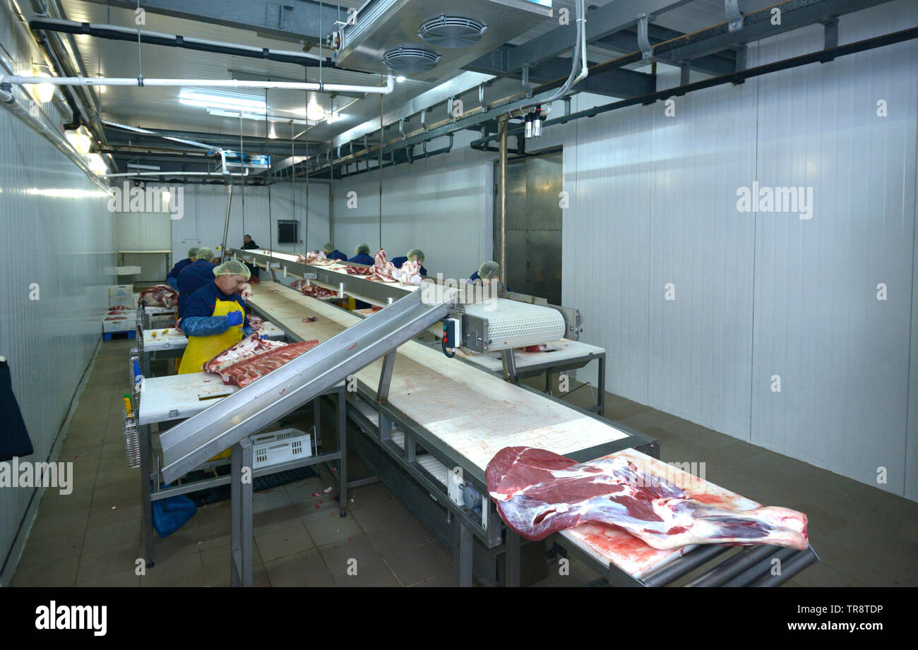 À l'abattoir. Vue de la salle de découpe : convoyeur avec un morceaux de viande, les bouchers de travailler. Le 22 avril 2019. Kiev, Ukraine Banque D'Images