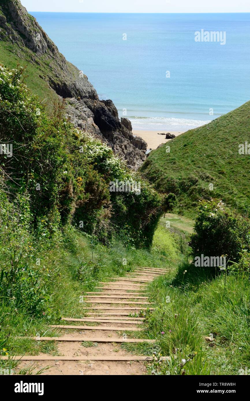 Sentier des mesures à Lydstep Manorbier Chemin de Pembrokeshire Coast cavernes Cymru Wales UK Banque D'Images