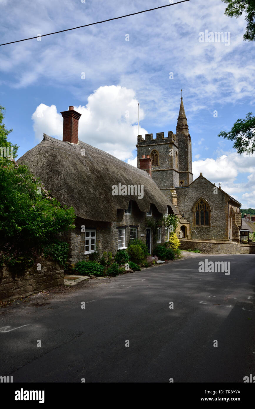 Tess Cottage et l'église St Osmond, Evershot Banque D'Images