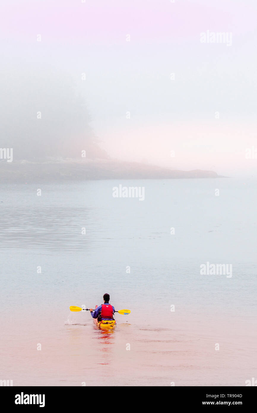 Kayak de mer à l'aube dans la partie inférieure de l'entrée de la baie Muscongus de Brême, dans le Maine. Banque D'Images