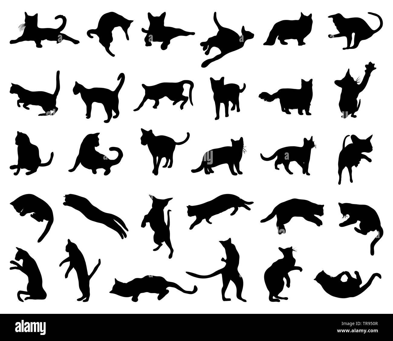 Silhouette de chat noir sur un fond blanc Banque D'Images