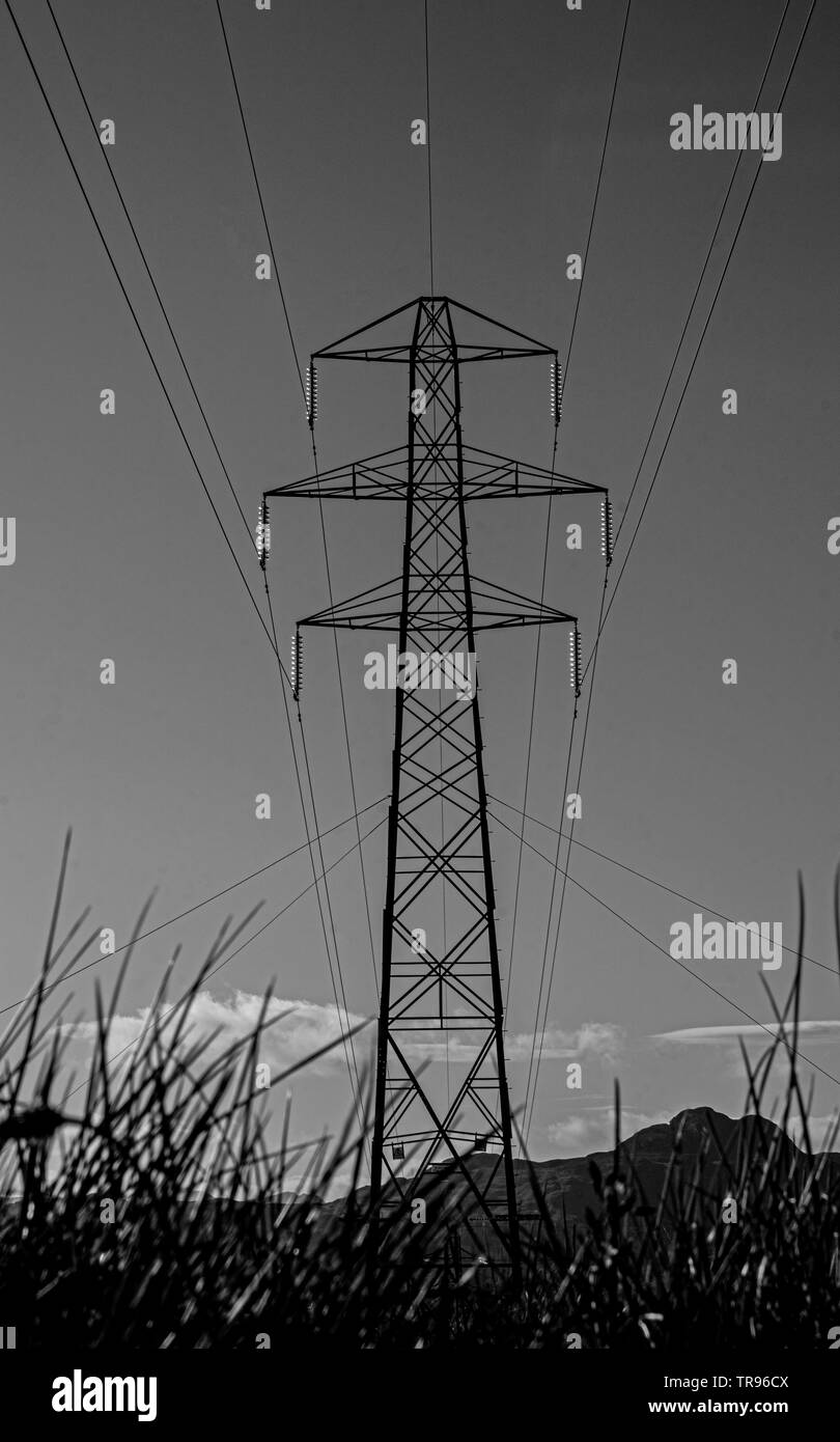 Des lignes de pylônes Banque D'Images