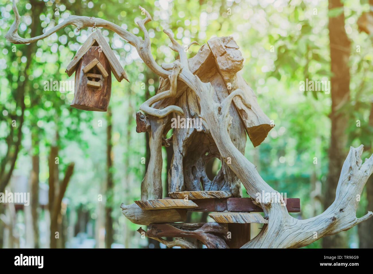 Maison d'oiseau en bois fait main, nichent dans le parc public , main