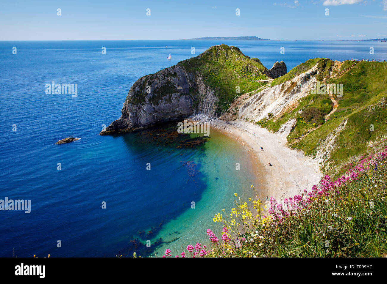 Durdle door et man o'war, Dorset, UK Banque D'Images