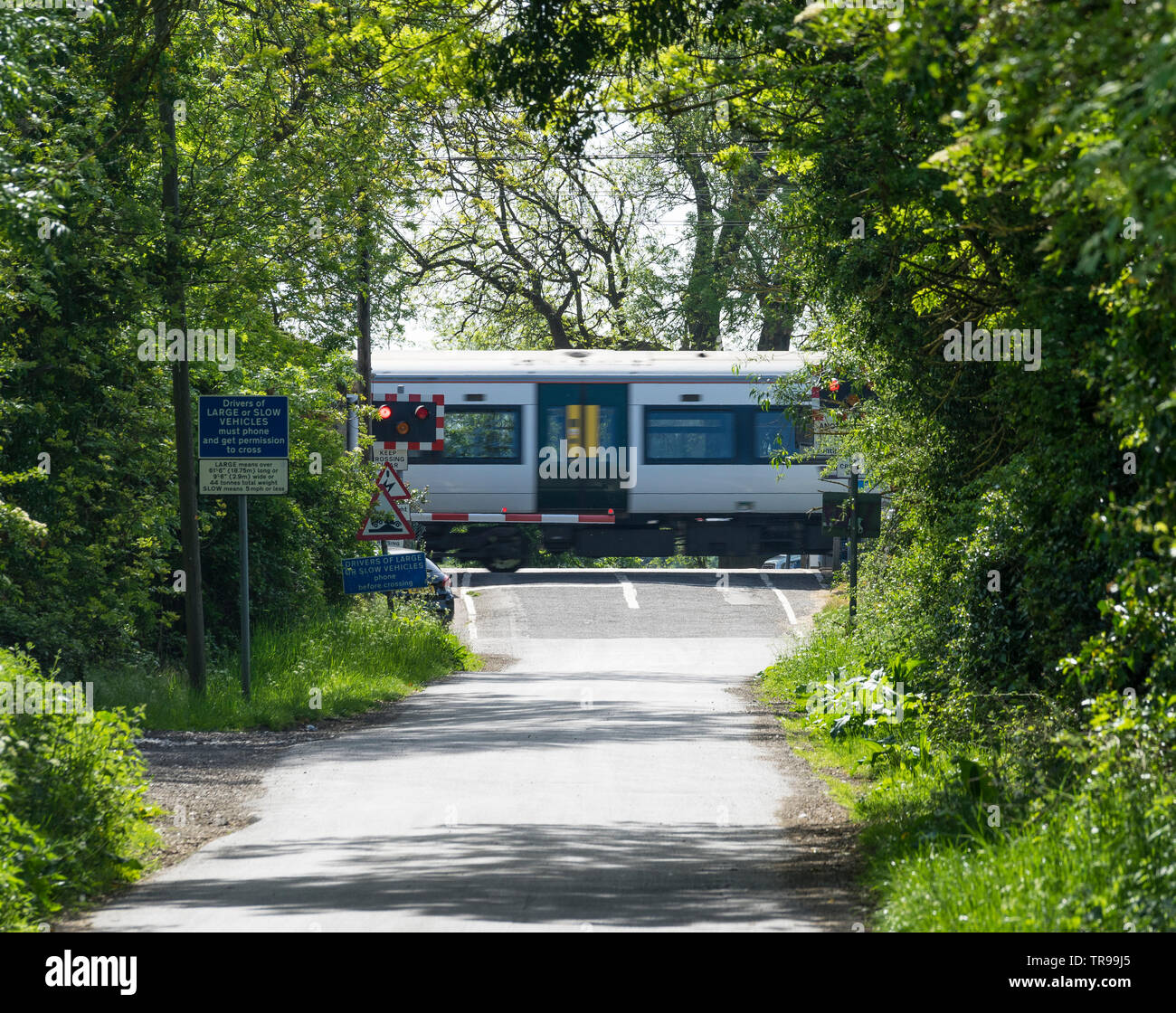Train passant sur le passage à niveau à travers des arbres Milton Cambridge 2019 Banque D'Images