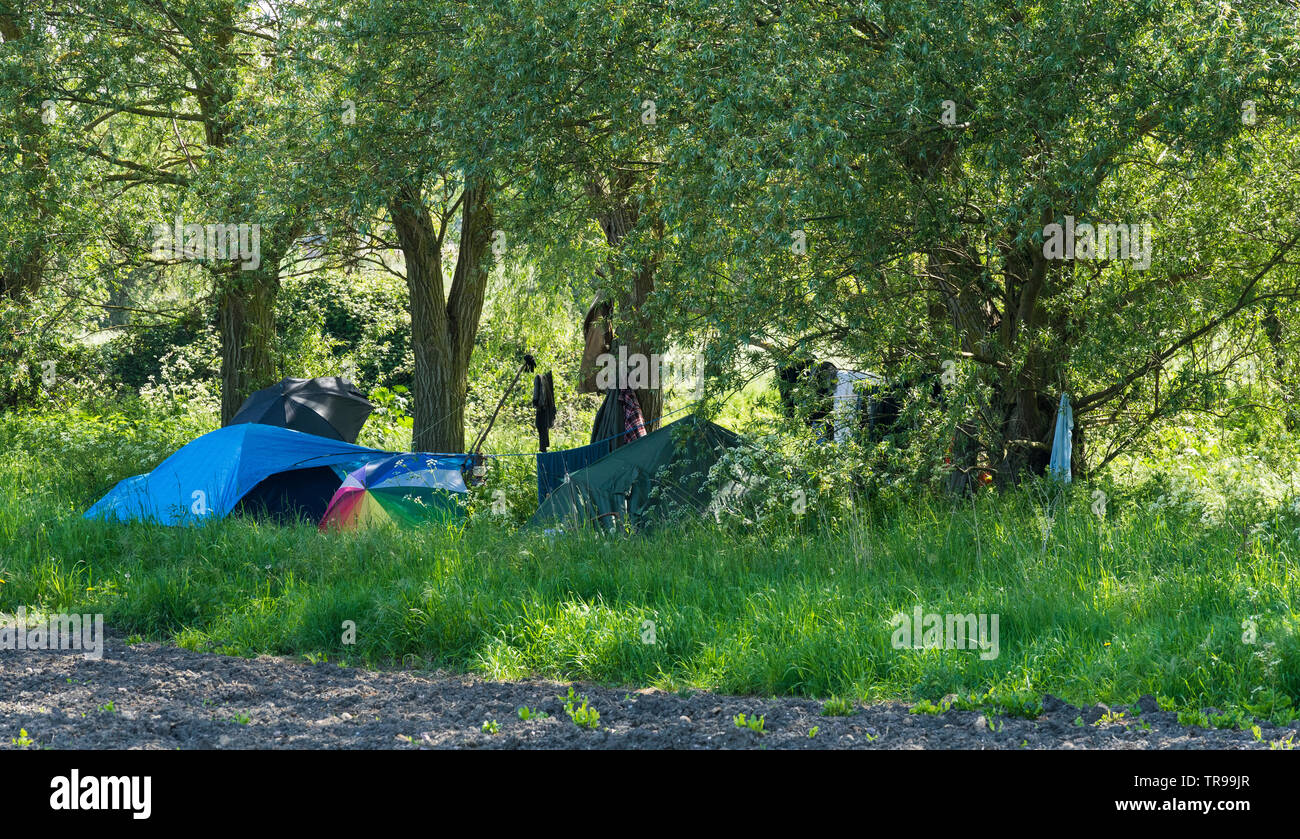 Camping sauvage dans le champ Banque D'Images