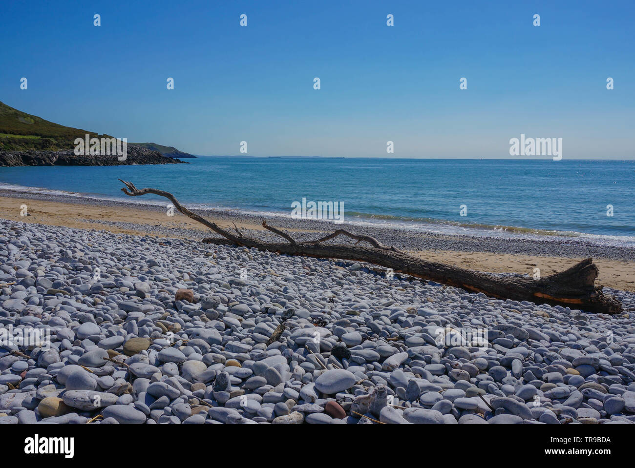 Une plage de sable et galets avec un morceau de bois flottant dans l'avant-plan Banque D'Images