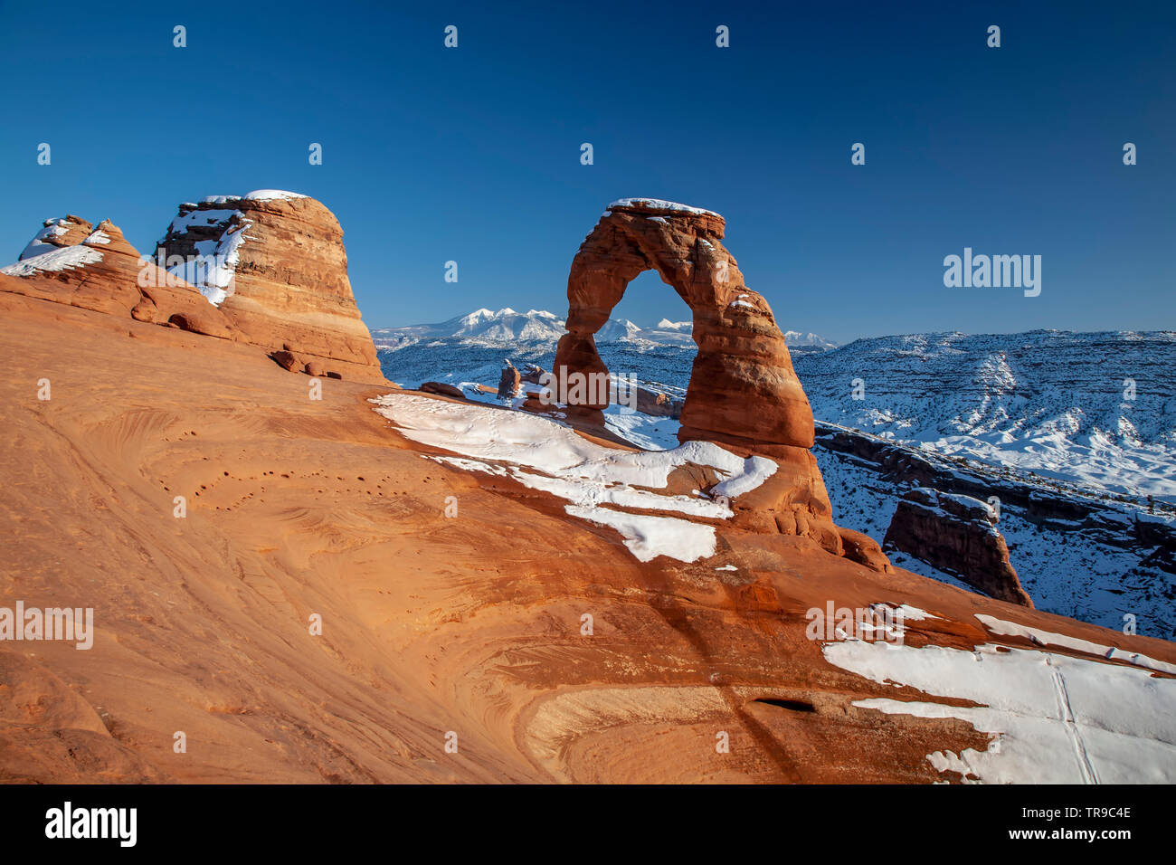 Delicate Arch et La Sal montagnes sous la neige, Arches National Park, Moab, Utah USA Banque D'Images