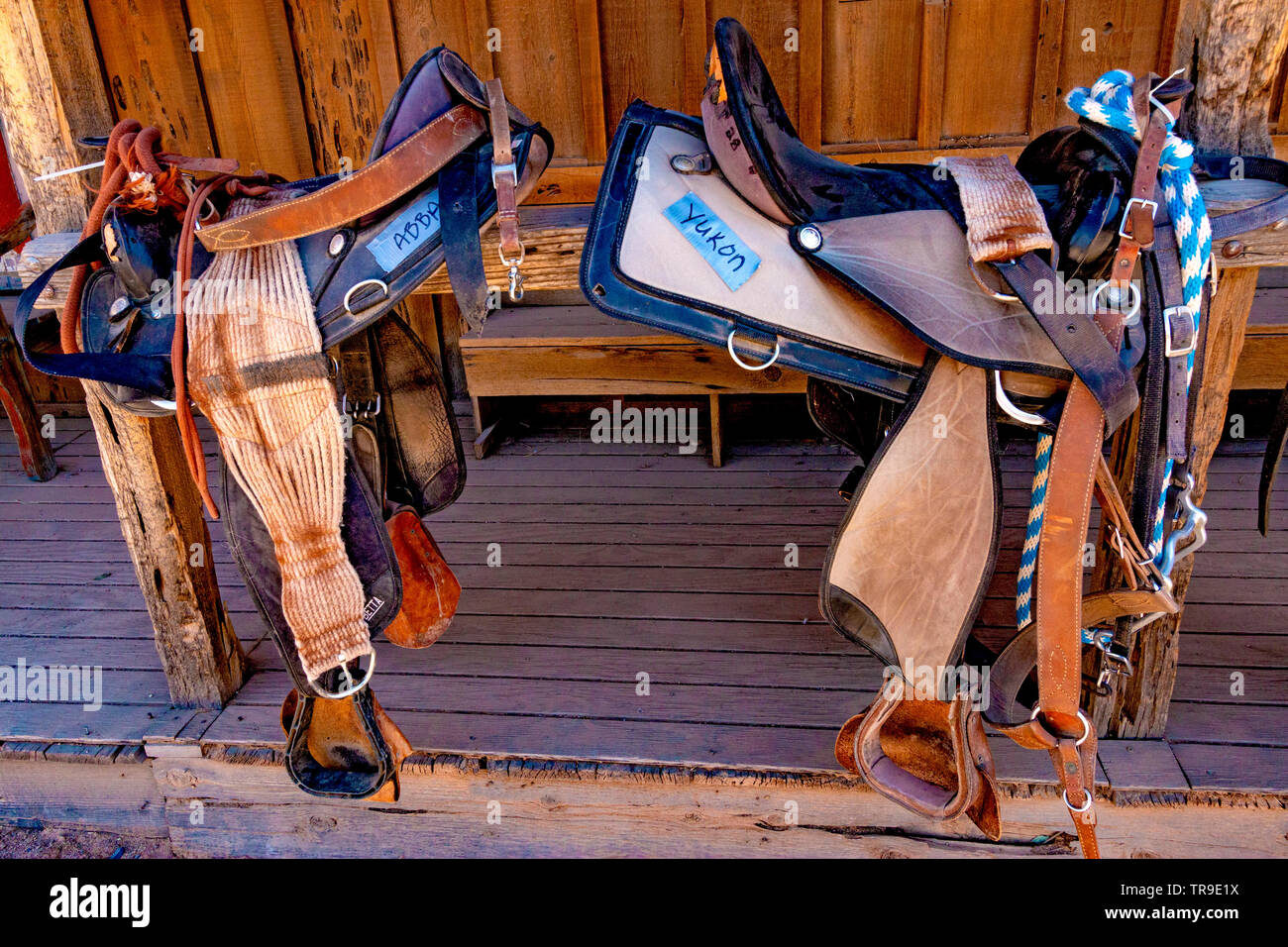 Avec leurs noms du cheval, en attente d'être utilisé à White Stallion Ranch, un ranch juste en dehors de Tucson, AZ. Banque D'Images