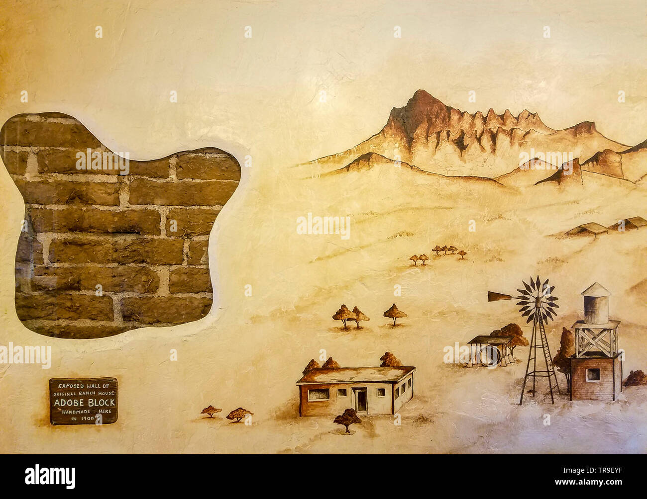 Une section exposée de l'original en briques d'adobe dans le domaine de la salle à manger à White Stallion Ranch, un ranch à l'extérieur de Tucson, AZ. Banque D'Images