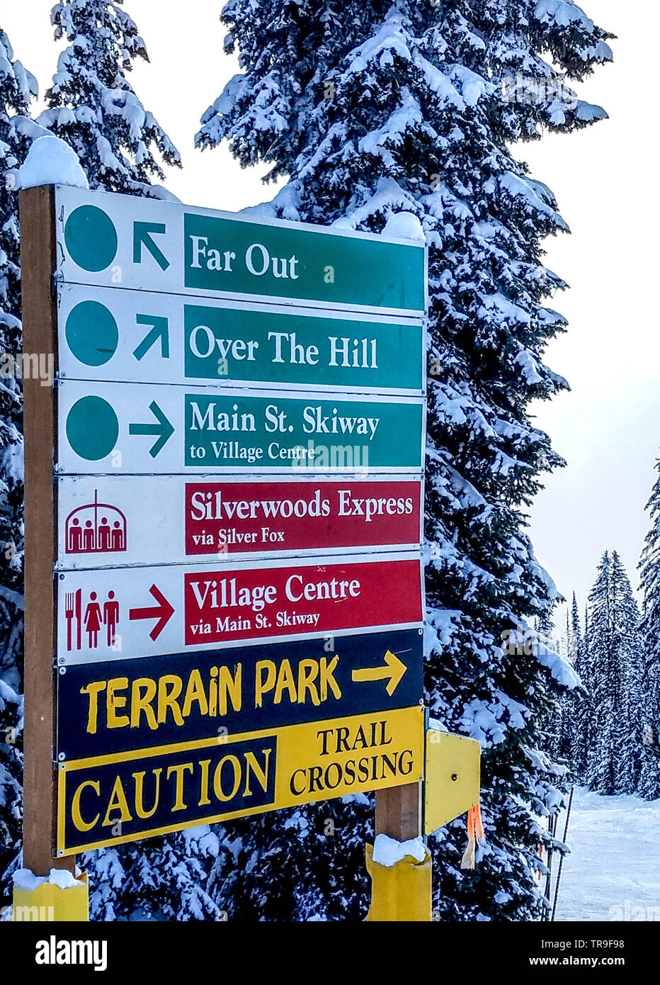 L'amour "sur la Colline" exécuter à Silver Star Mountain en Colombie-Britannique, Canada. Banque D'Images