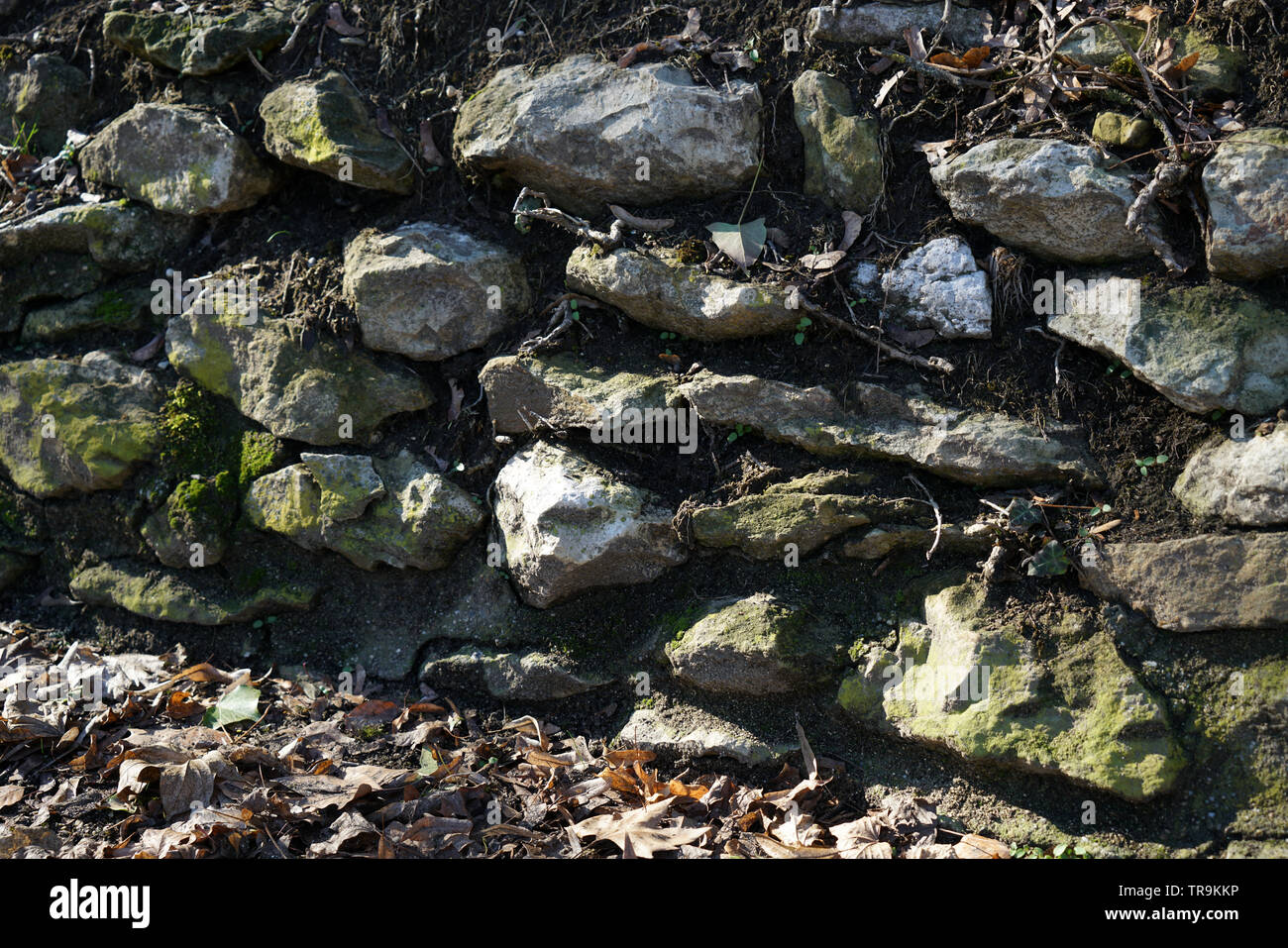 Mur en pierres naturelles ou en briques avec amour égaré photographié dans un parc en Allemagne Banque D'Images