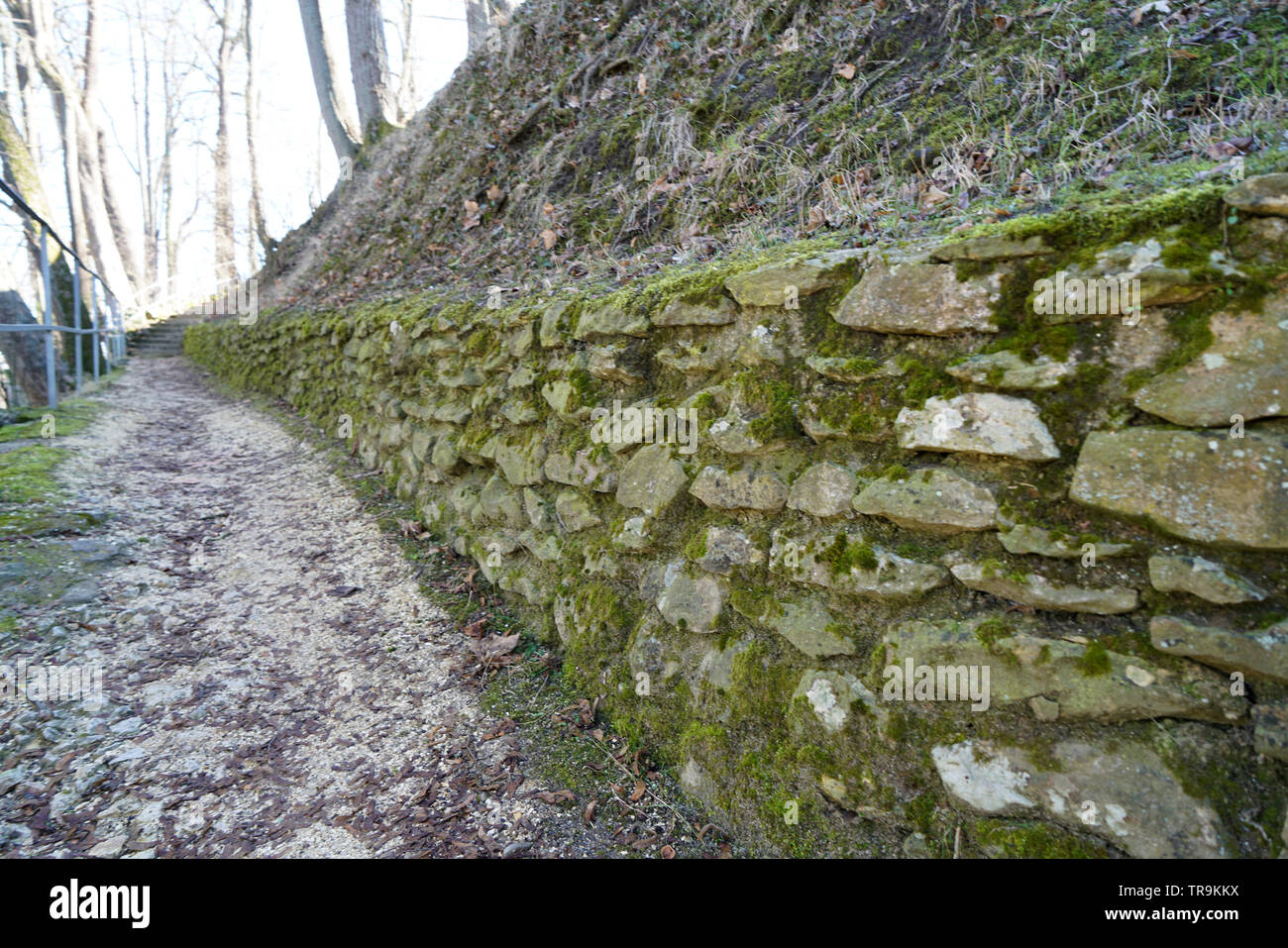 Mur en pierres naturelles ou en briques avec amour égaré photographié dans un parc en Allemagne Banque D'Images