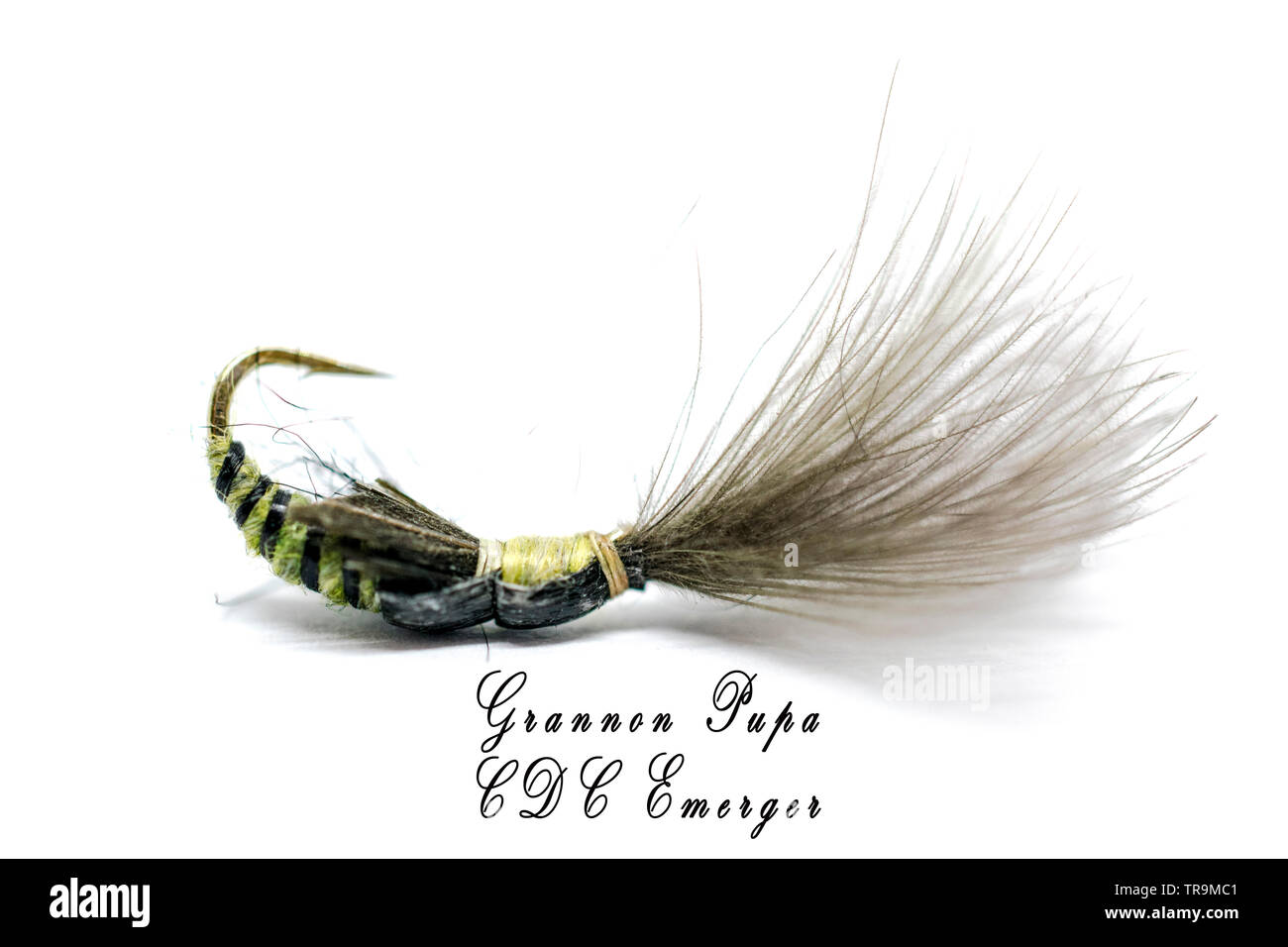 Les mouches de pêche de mouche, pour le pêcheur dans votre vie Banque D'Images