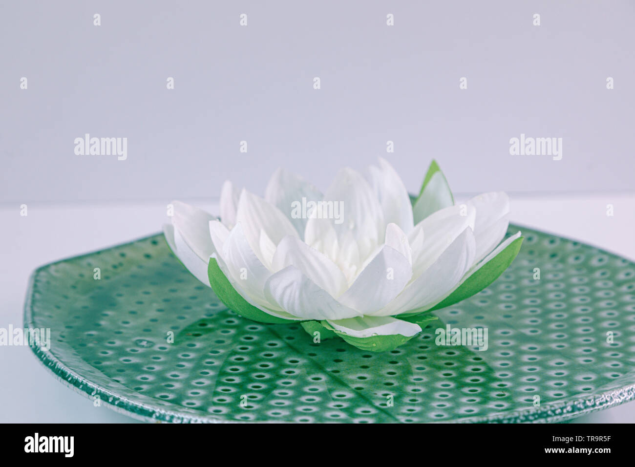 Fleur de lotus blanche dans un bol vert sur fond blanc Banque D'Images