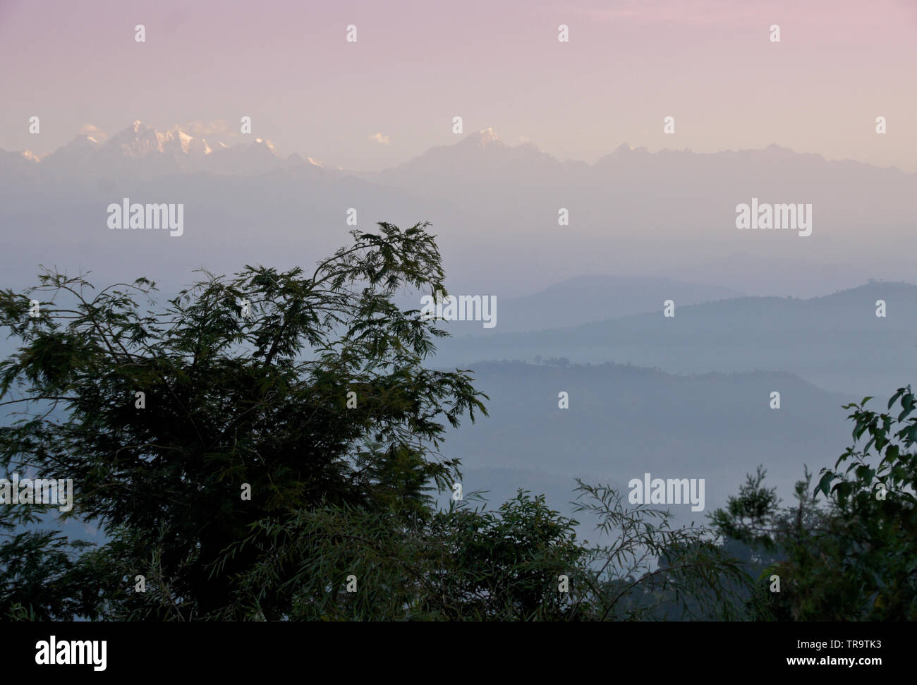 Contreforts, vallées et sommets enneigés de l'Himalaya dans la brume du matin, la silhouette des arbres et de la vue de Dhulikhel, Népal Banque D'Images