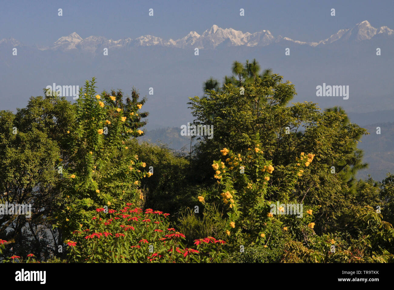 Contreforts, vallées et sommets enneigés de l'Himalaya dans la brume du matin, encadré par une végétation tropicale et vu de Dhulikhel, Népal Banque D'Images