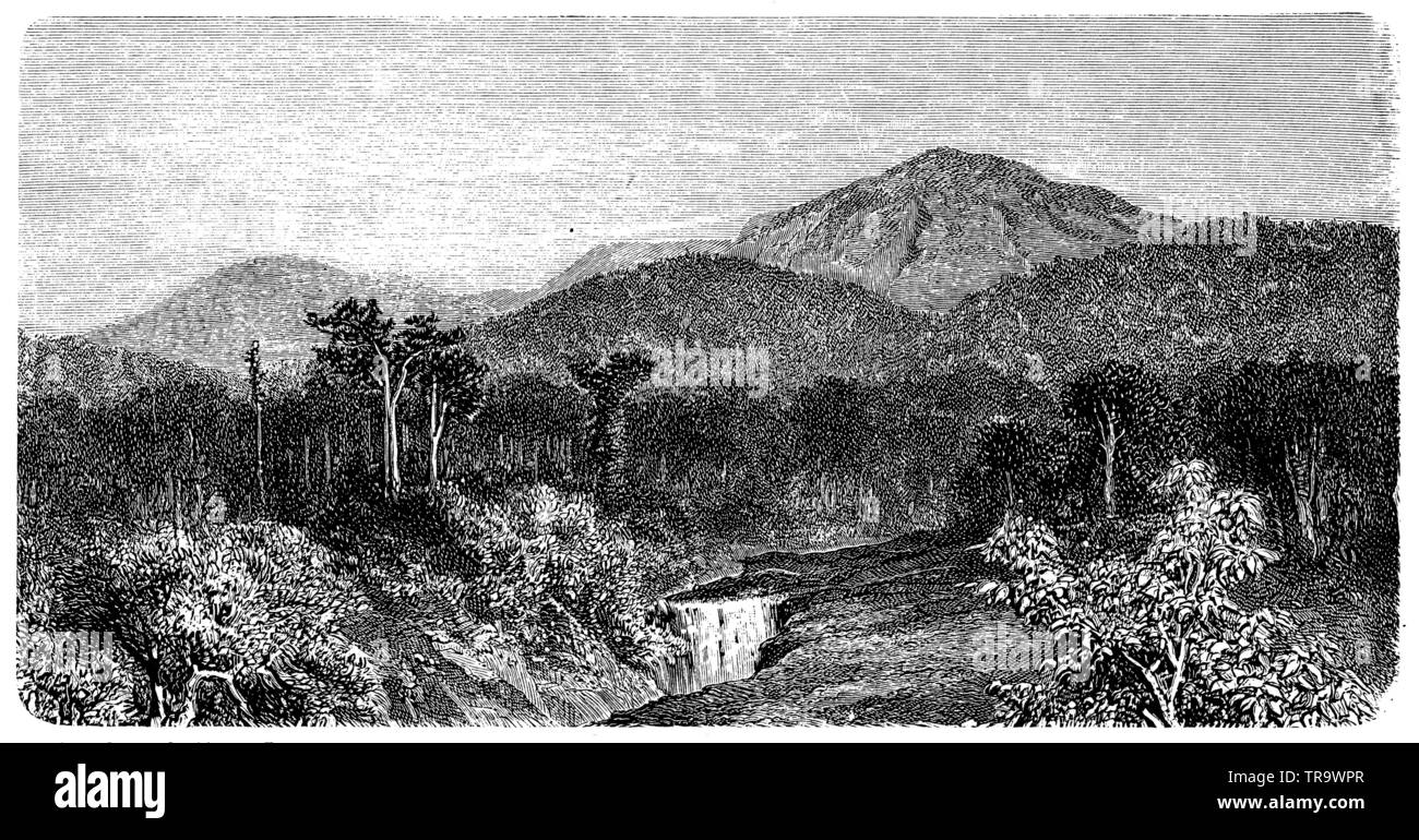 Sommet du Talang à Sumatra, , (encyclopédie, 1893) Banque D'Images