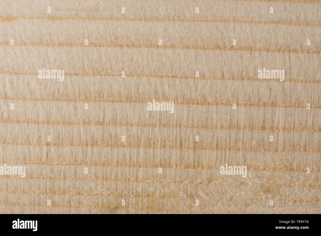 Surface en bois lumineux brut vue rapprochée Banque D'Images