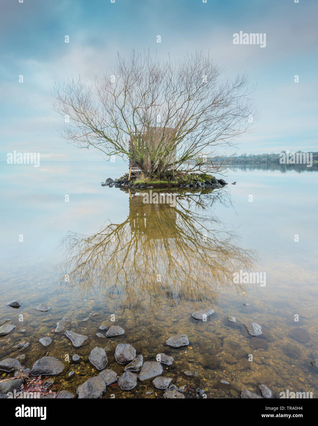 Un wildfowler's hide à Morrow's Point sur les rives du Lough Neagh, County Armagh, en Irlande du Nord. Banque D'Images