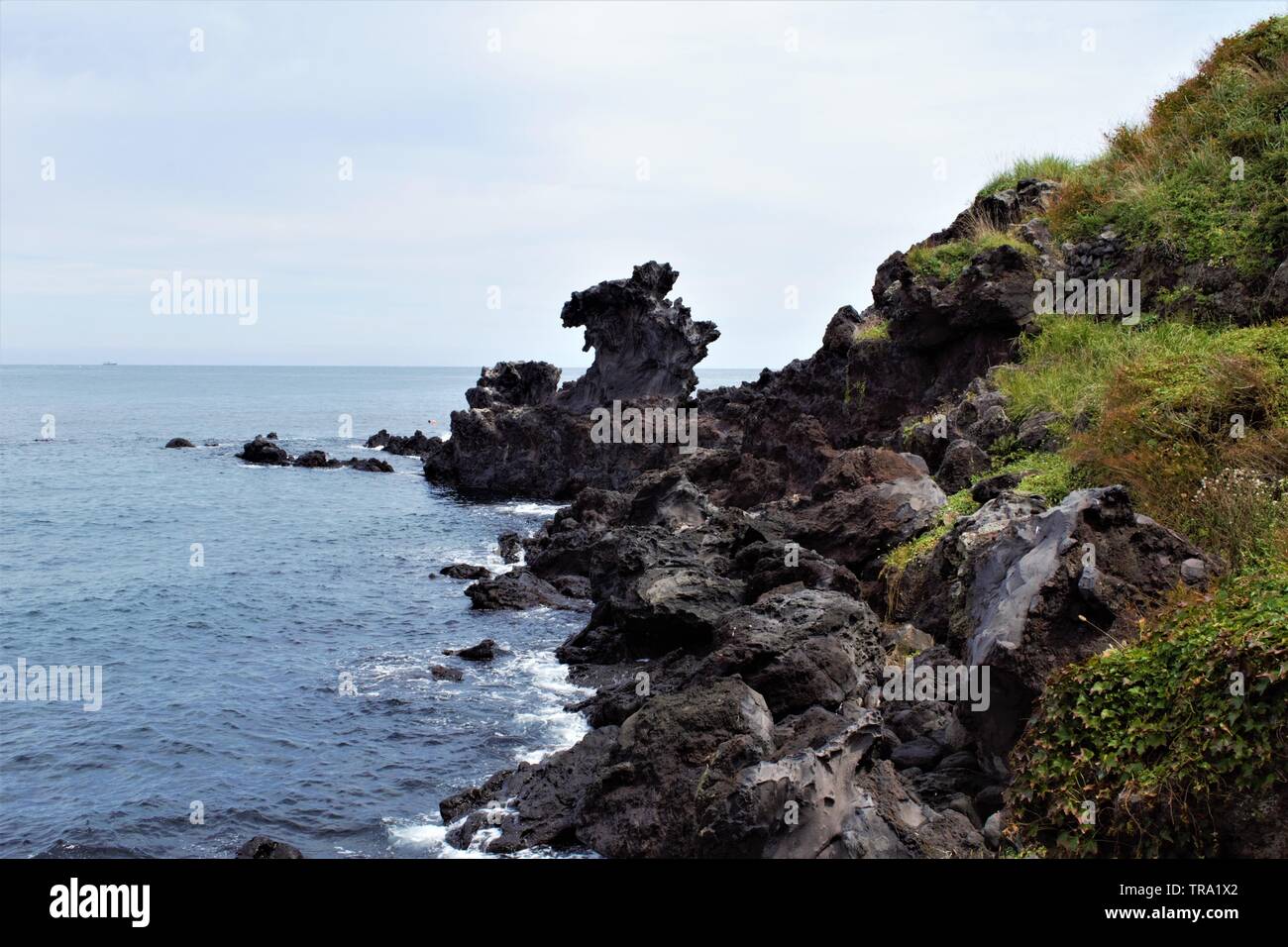 Yongduam Rock, Dragon Head Rock à Jeju, en Corée Banque D'Images