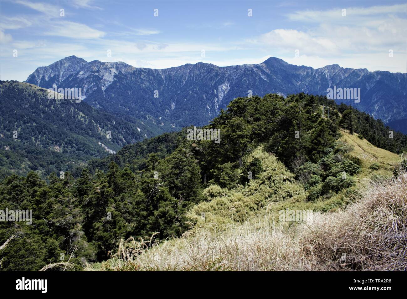 Chaîne de montagnes centrale, Taïwan Banque D'Images