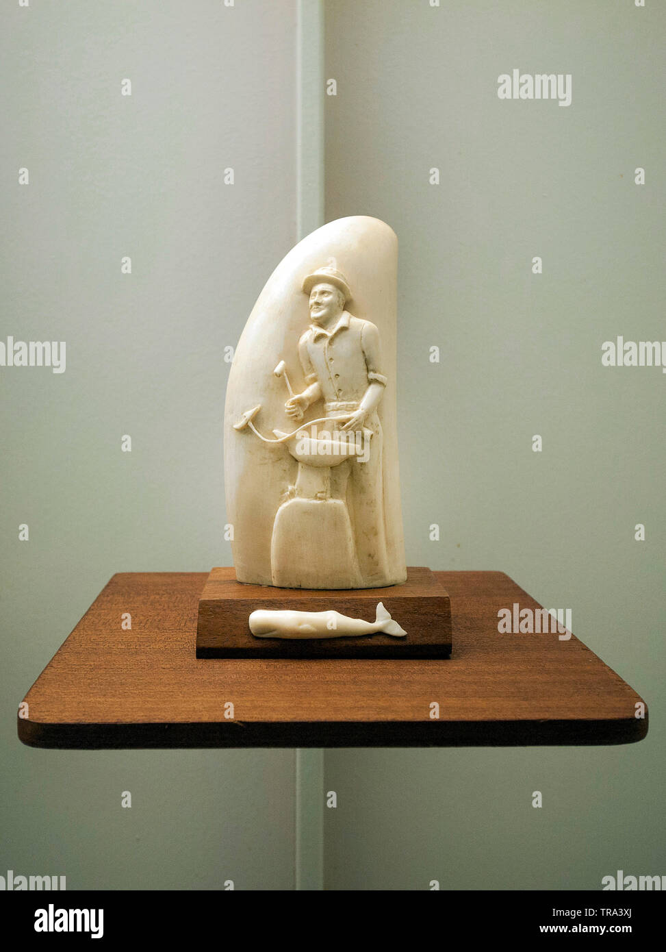 Srimshaw, hanicraft avec sculpture sur ivoire astucieuse dents de cachalots, de l'industrie baleinière, Musée Horta, Açores, Portugal Banque D'Images
