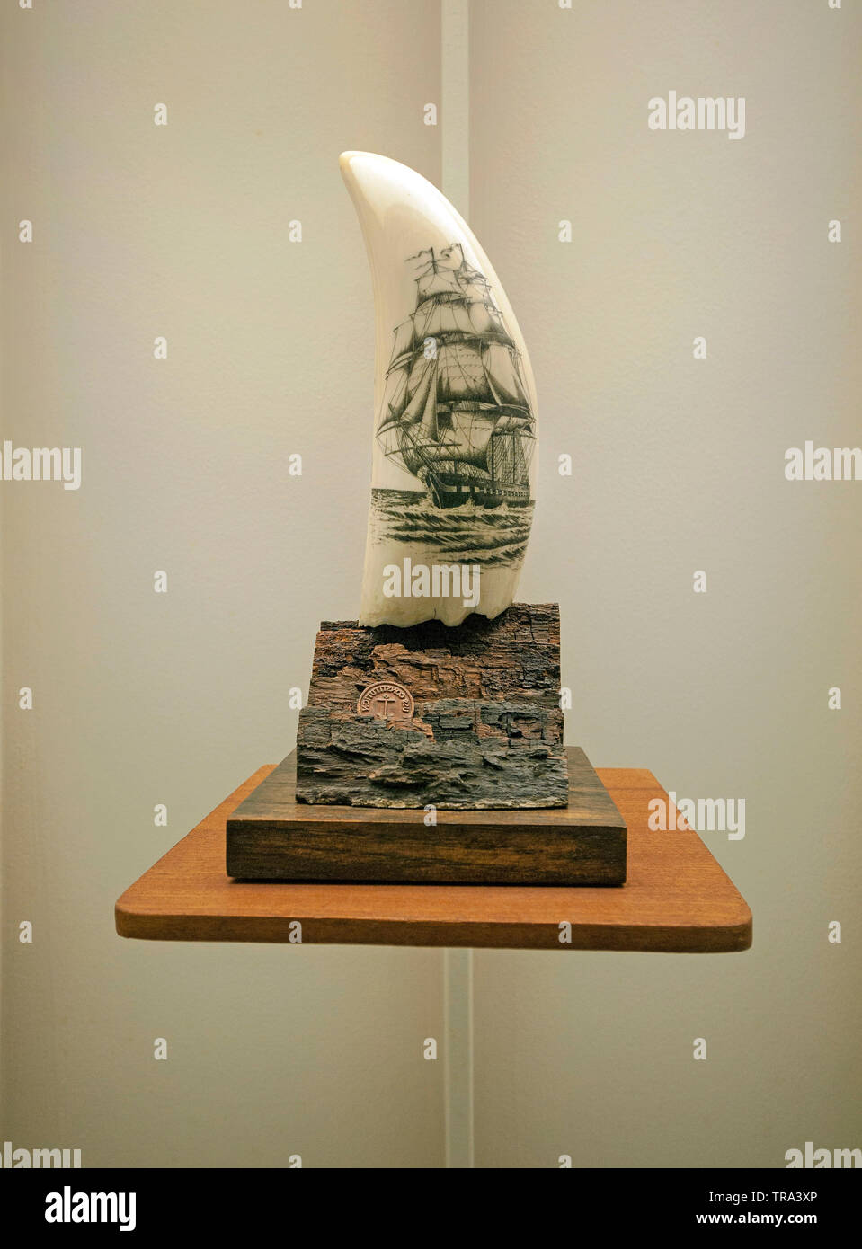 Srimshaw, hanicraft avec sculpture sur ivoire astucieuse dents de cachalots, de l'industrie baleinière, Musée Horta, Açores, Portugal Banque D'Images