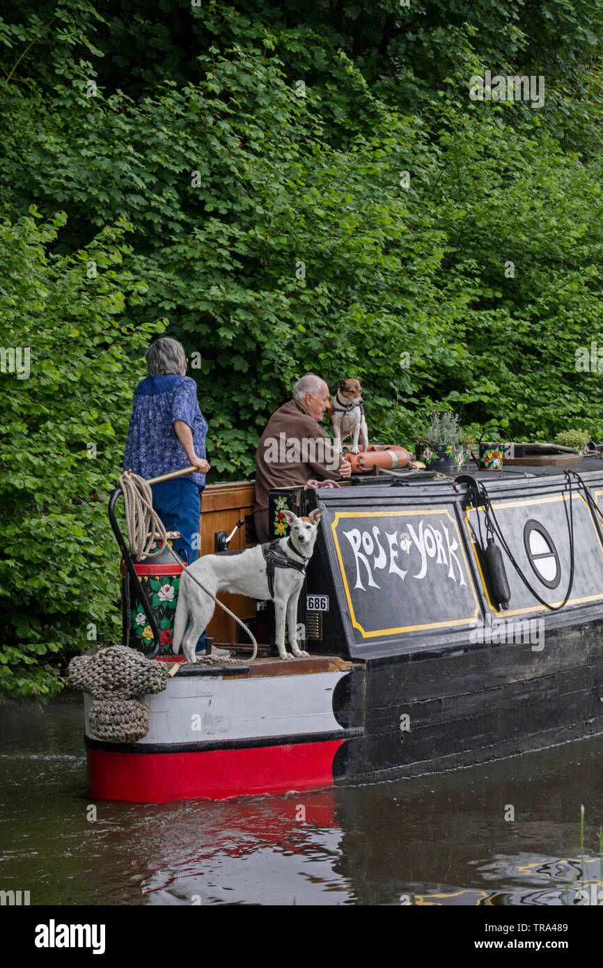 Staffordshire Worcestershire et Canal à Storton Junction nr Kinver, Staffordshire, England, UK Banque D'Images